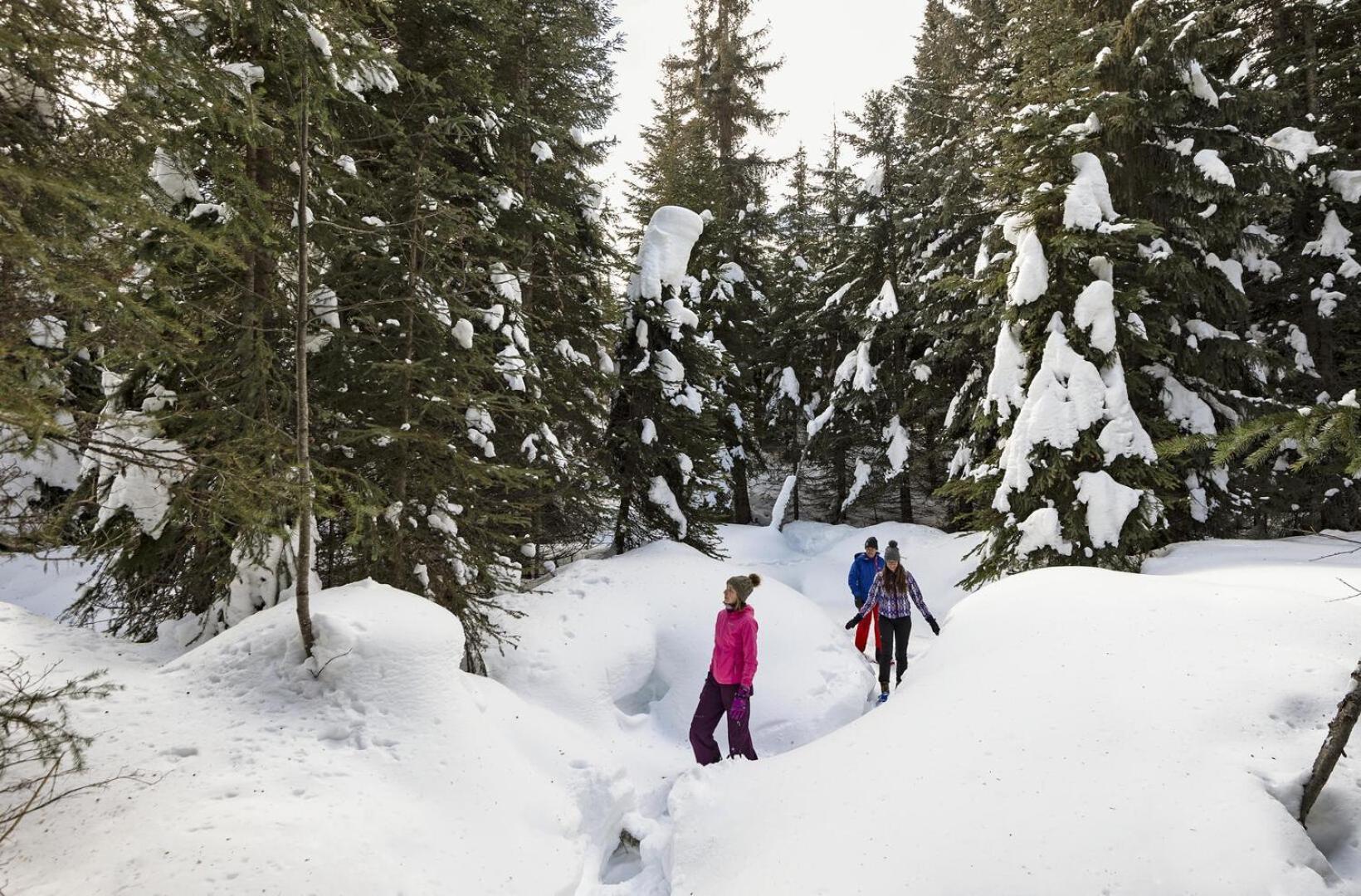 Holiday Home Sun Peaks Bagian luar foto